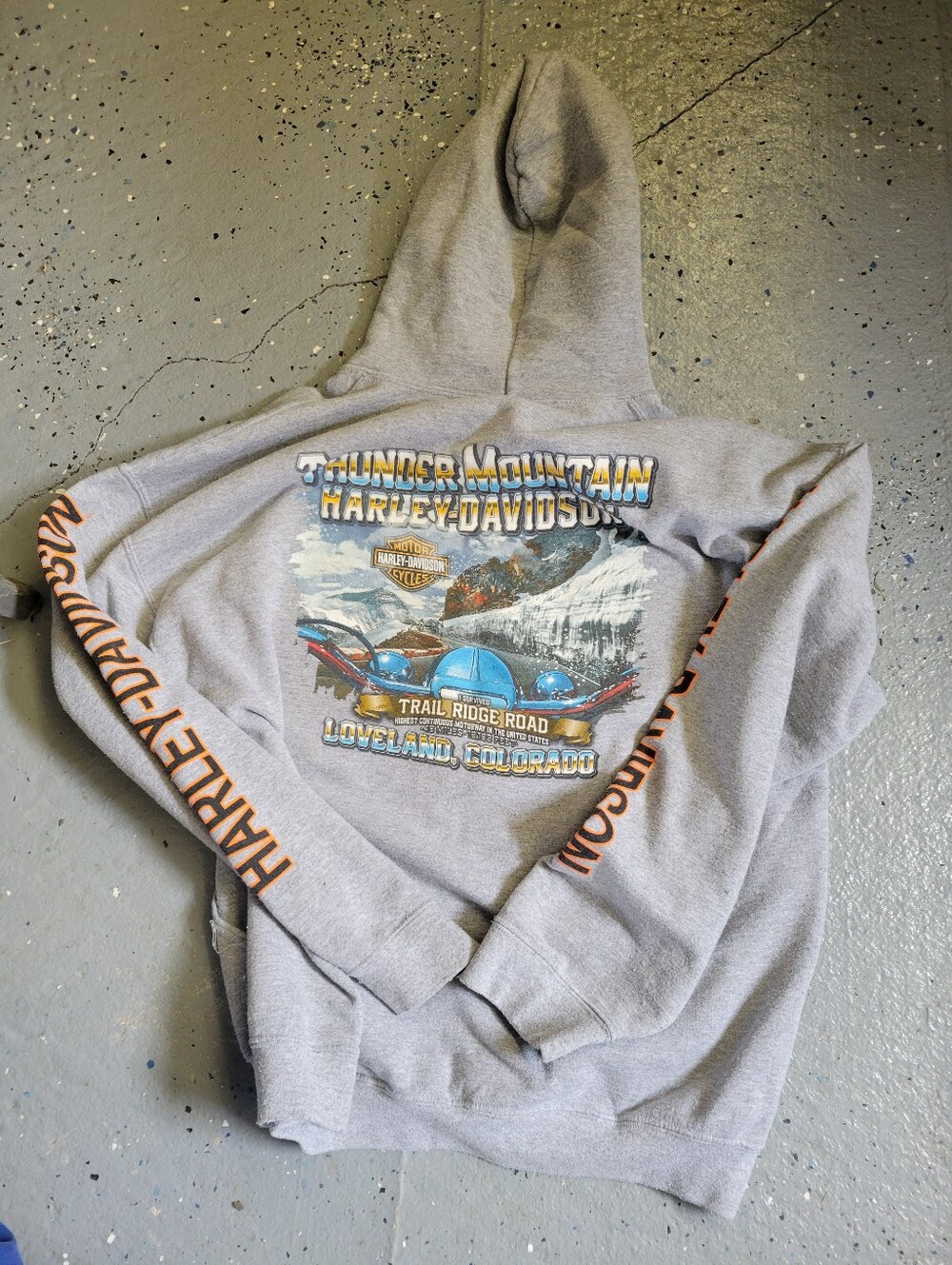 Harley-Davidson Gray Hoodie with Multicolor Motorcycle Graphic. Loveland, Col.